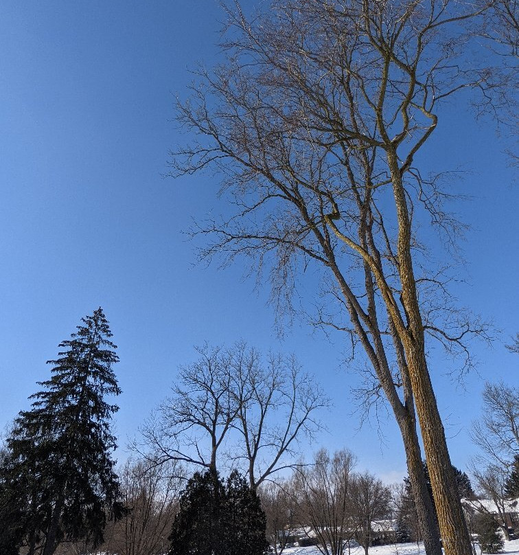 Upper Queen's Park景点图片