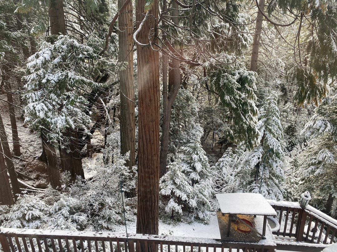 McCaffrey House Bed and Breakfast Inn主图