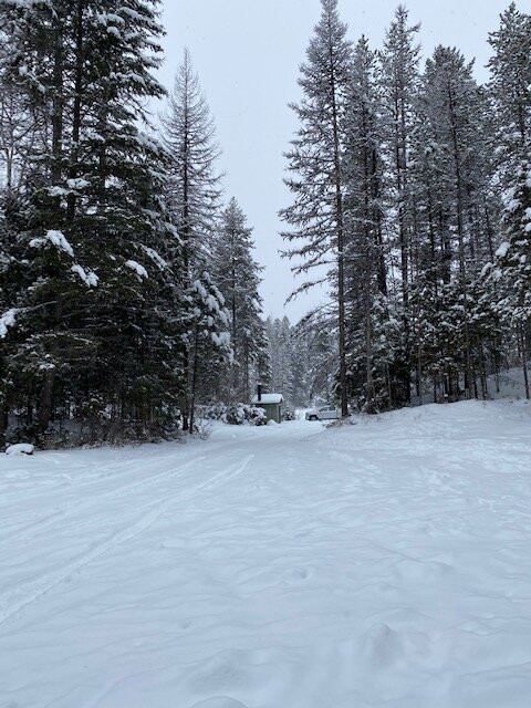 Lion Lake