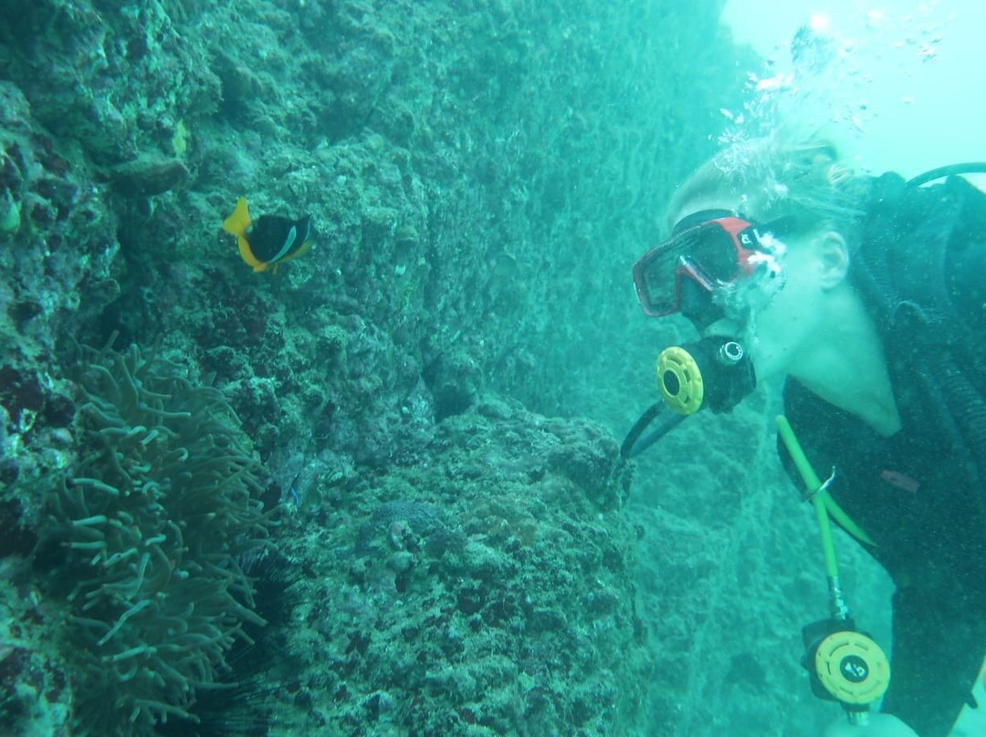 Divers Down-富查伊拉必去景点