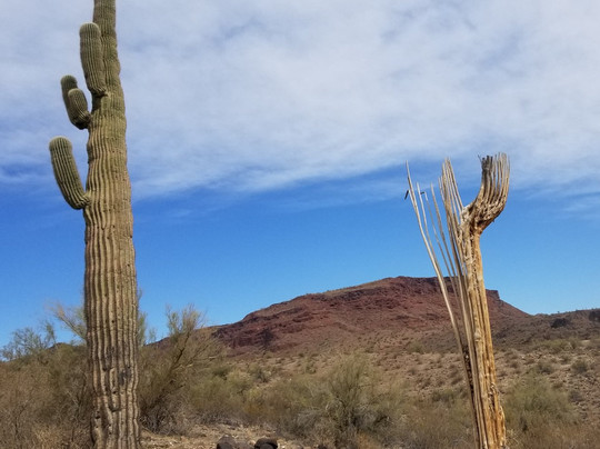 Alamo Lake State Park-Wenden必去景点