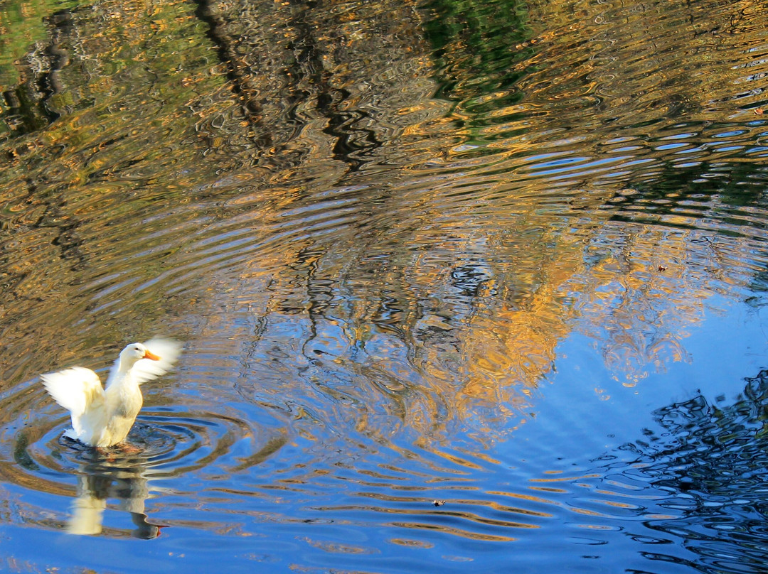 Lake Fulmor-Idyllwild必去景点
