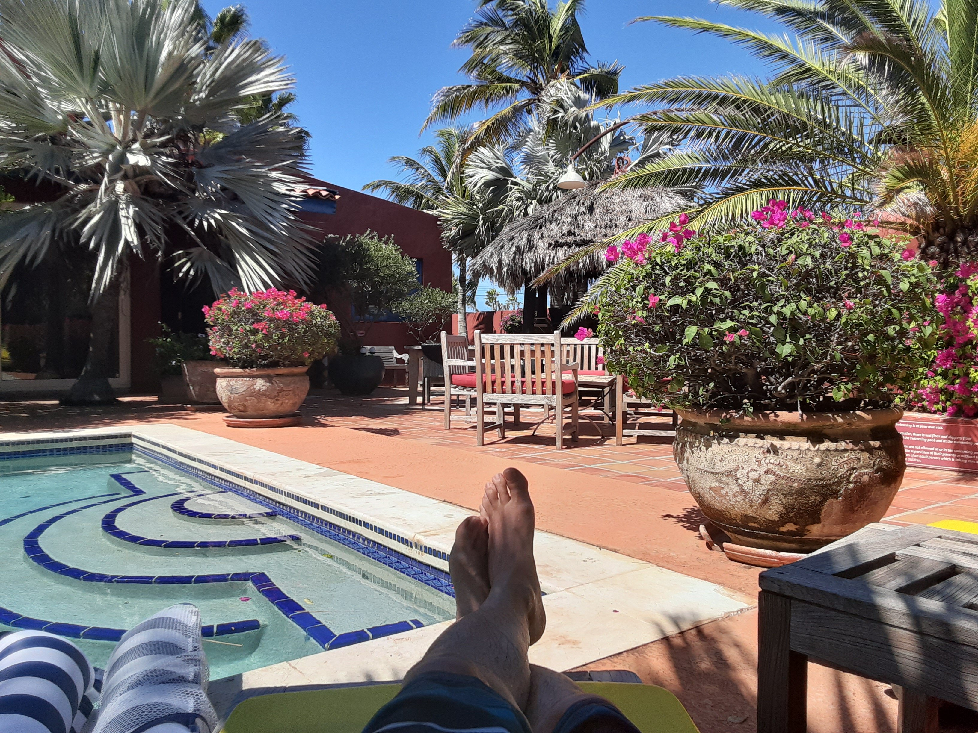 La Maison Aruba-官方