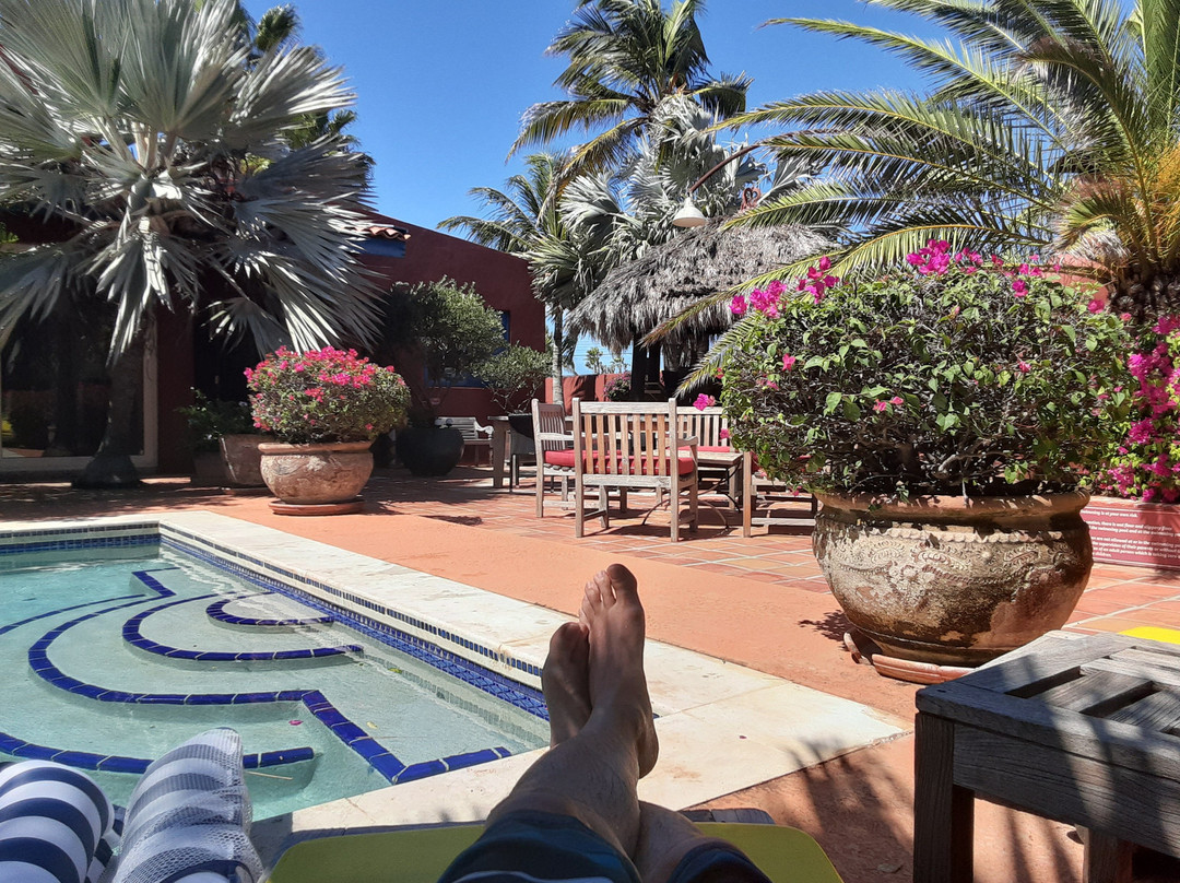 La Maison Aruba主图