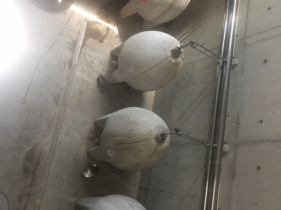 Waterkloof Wines-西索美塞必去景点