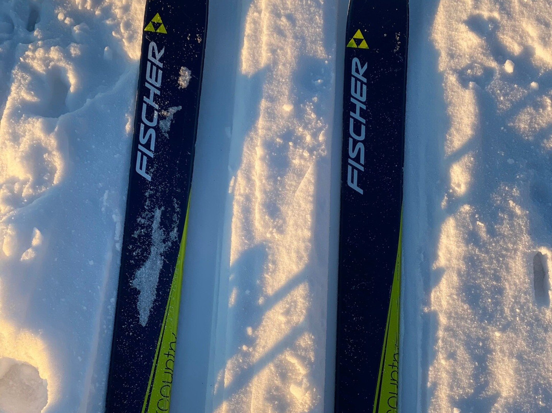 Borestranden Beach-Kleppe必去景点