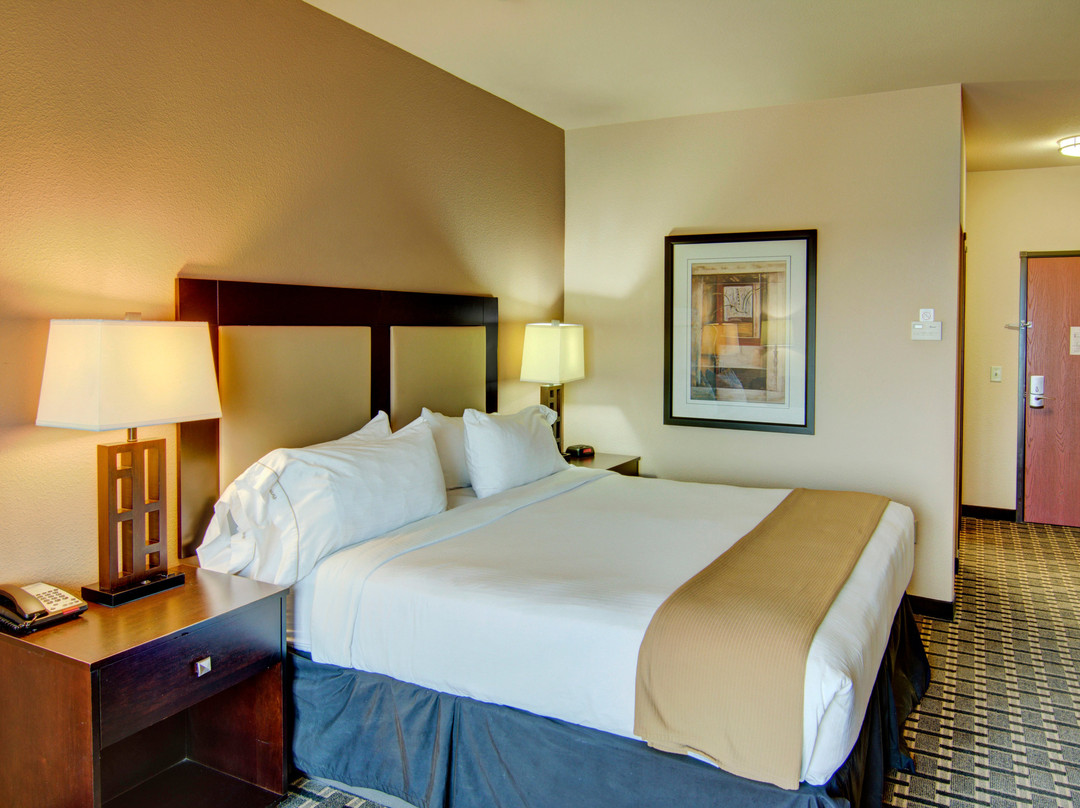 帕里斯快捷假日&套房酒店主图