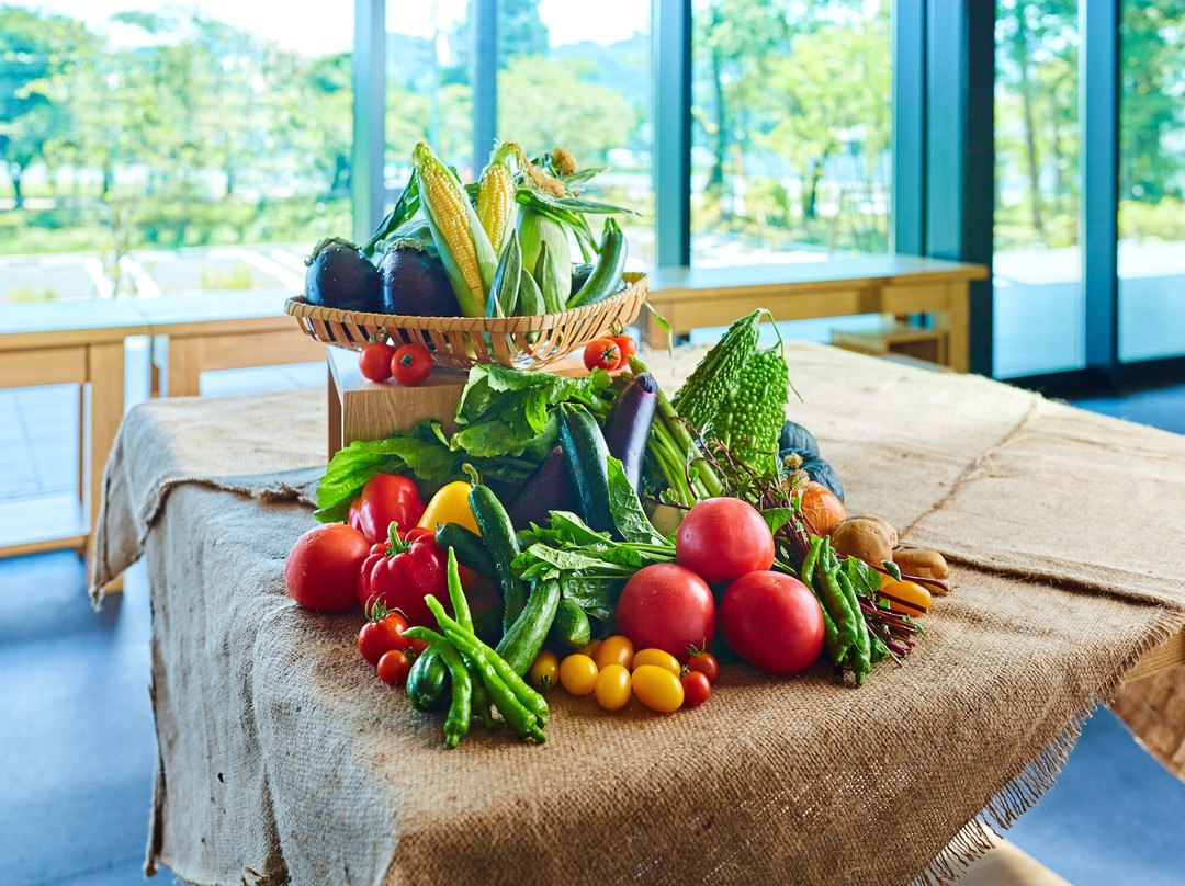 OH!!! Fermentation, Health and Magic of Food!!!-饭能市必去景点