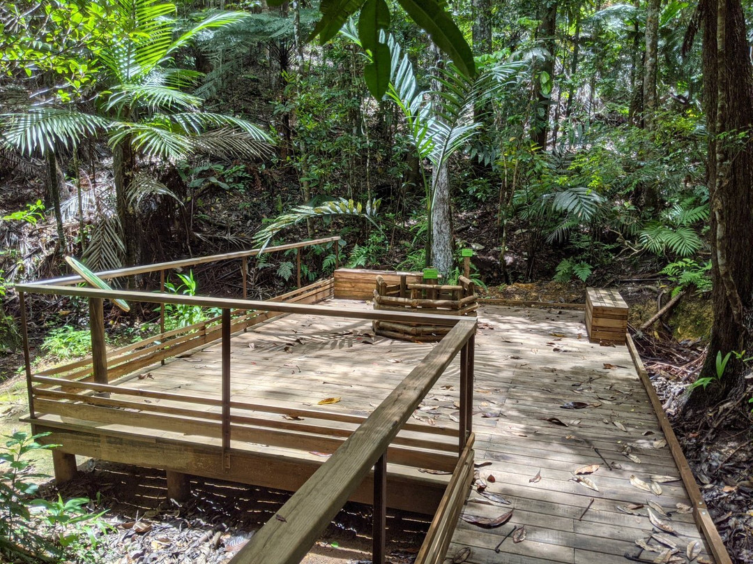 Parc des Grandes Fougères-Farino必去景点