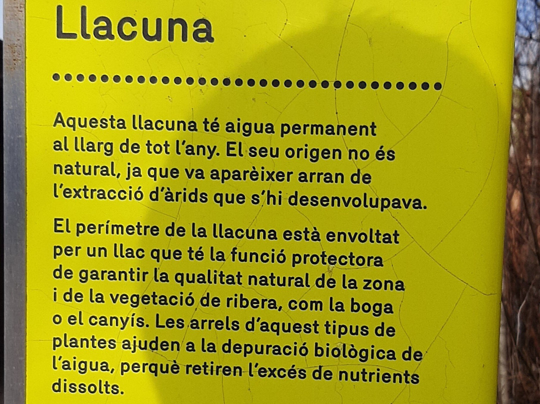 Parc De La Llacuna-Montcada i Reixac必去景点