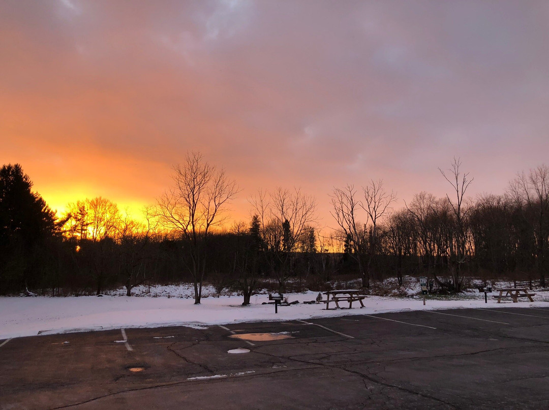 Cianci's Motel主图