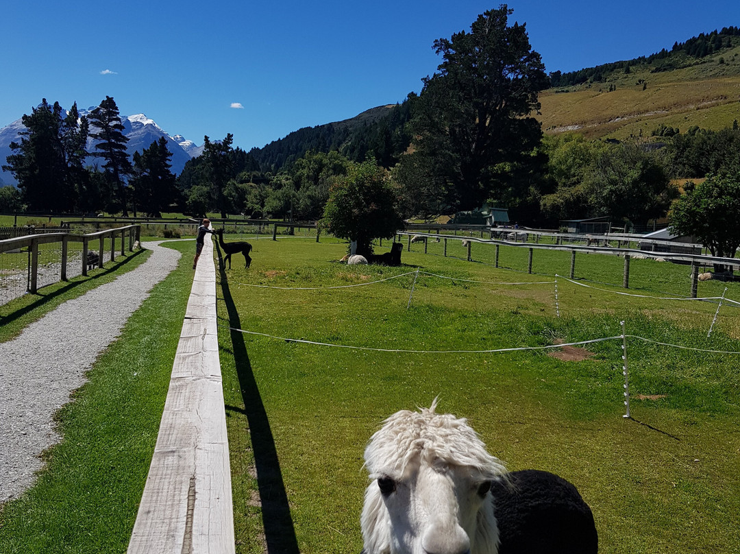 Glenorchy Animal Experience-格伦诺基必去景点