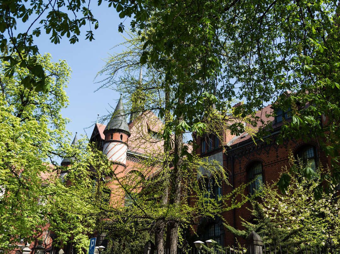 Muzeum Górnośląskie-Bytom必去景点