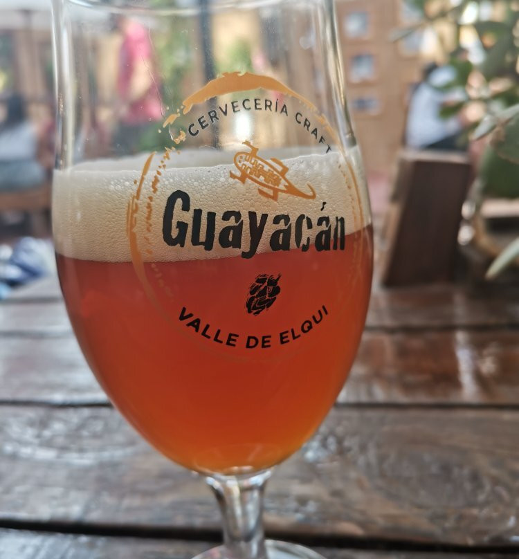 Guayacán Craft Brewery-Vicuna必去景点