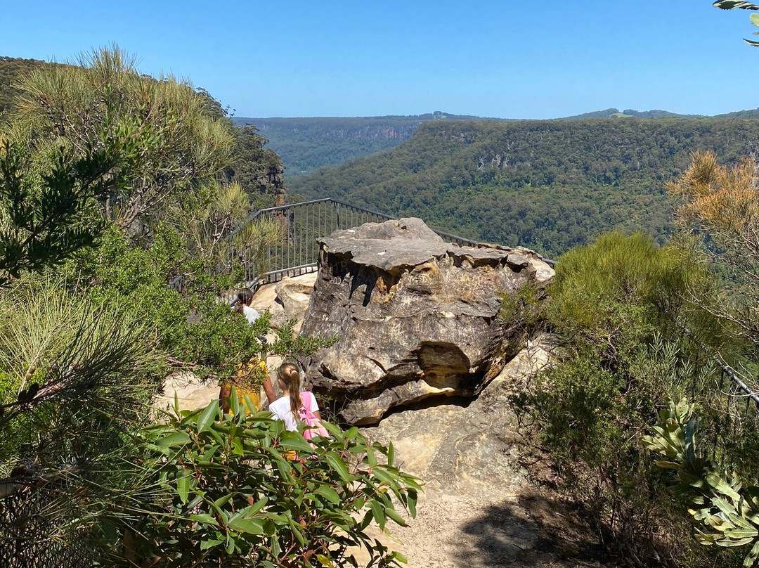 Budderoo National Park景点图片