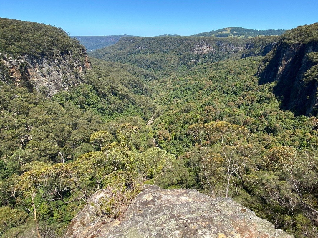 Budderoo National Park景点图片