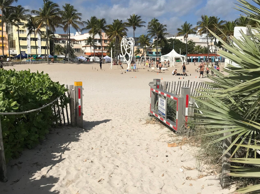 Lummus Park Historic District-迈阿密必去景点