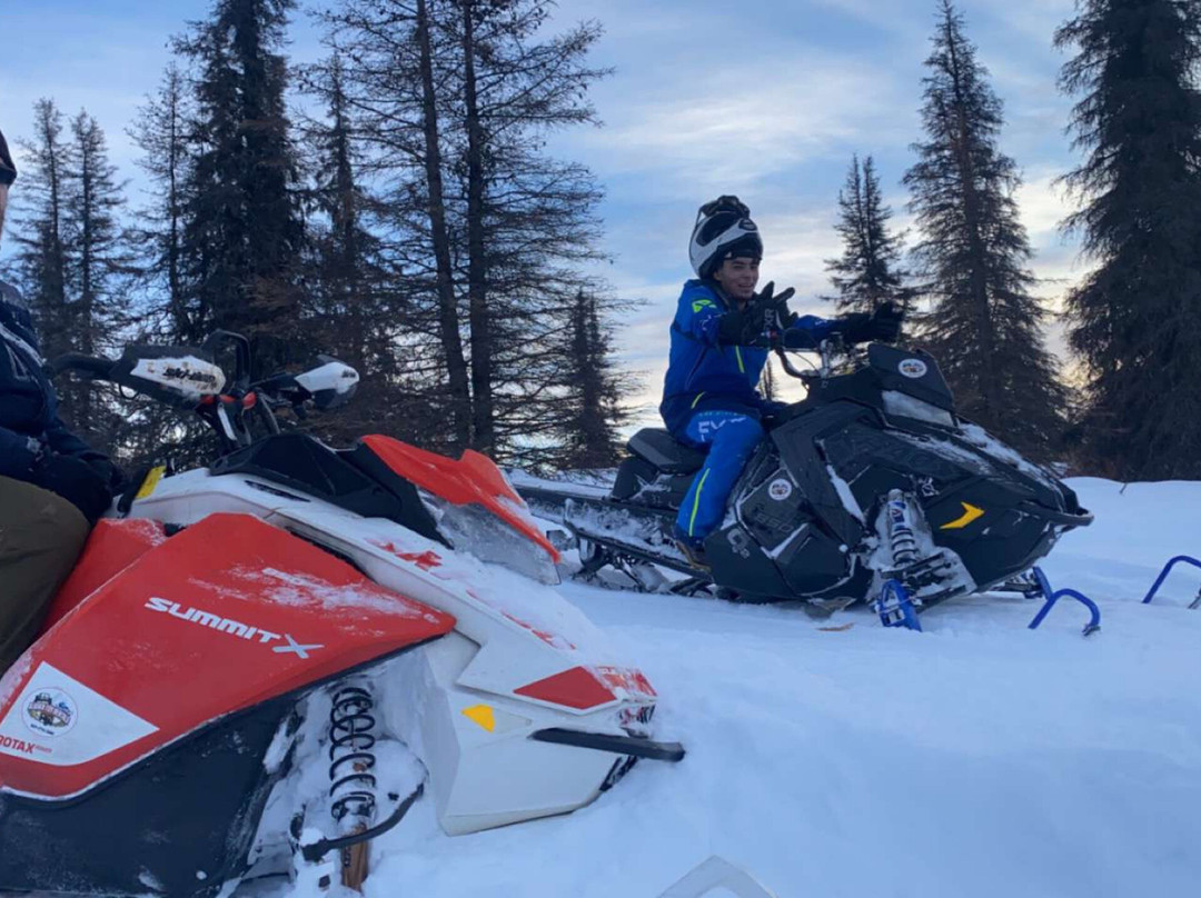 Alaska Toy Rental景点图片
