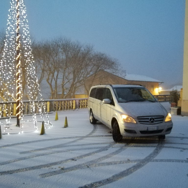 Luxury Transfer Services®Venezia-威尼斯必去景点