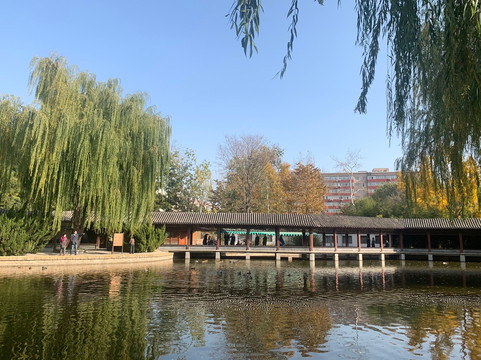 团结湖公园-北京市必去景点