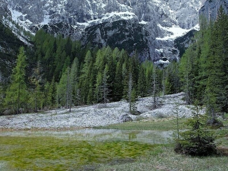 Auronzo di Cadore (Reàne) – Lago Ciadin景点图片