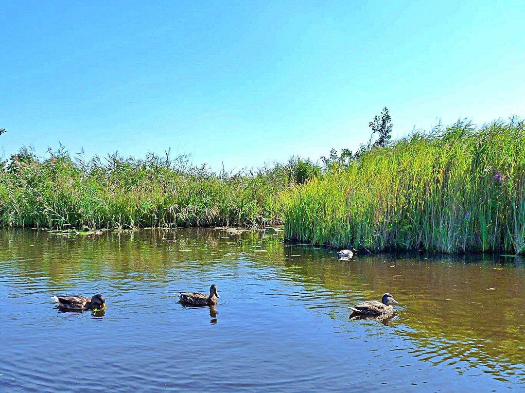Nationaal Park Weerribben-Wieden景点图片