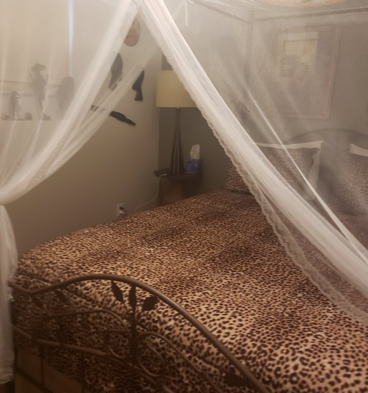 Serenity Hillside Bed and Breakfast主图