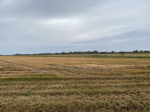 Mas Saint Germain-阿尔勒必去景点