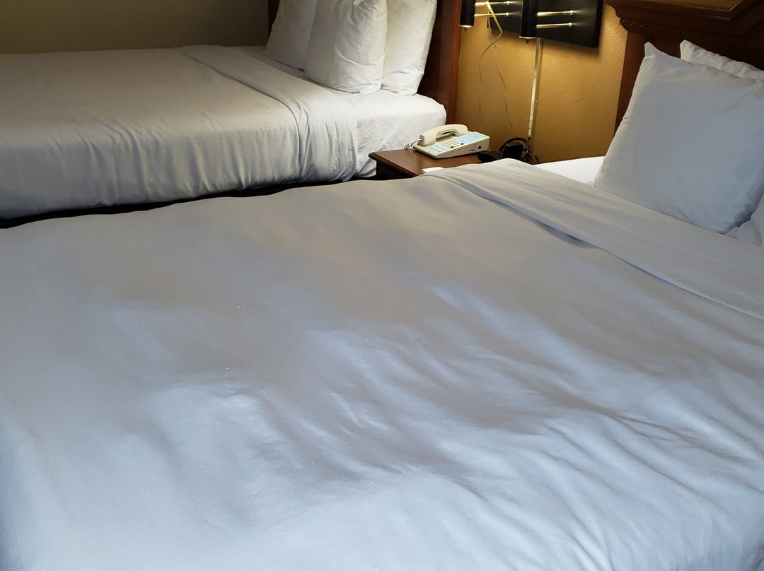 Country Inn & Suites by Radisson, Portland, TX主图