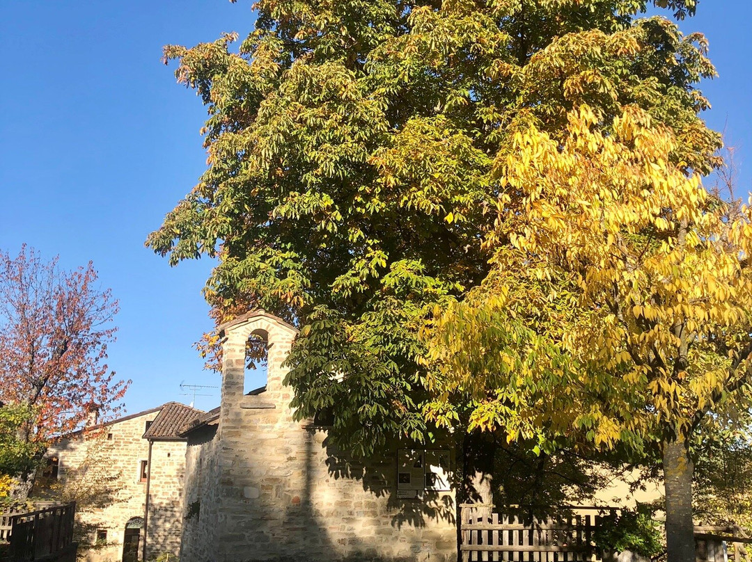 Agriturismo Marzanella主图
