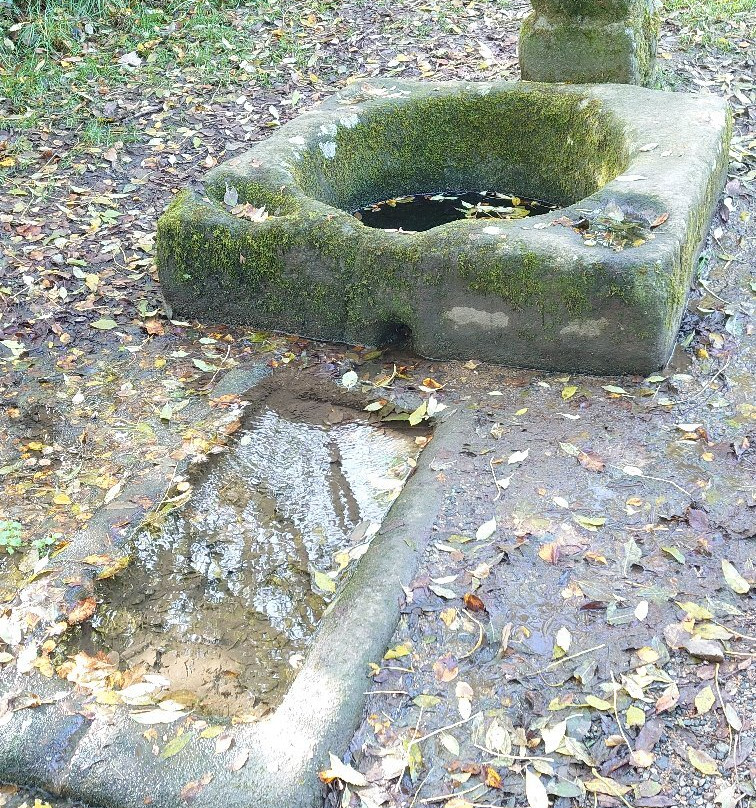 Chapelle Saint-Gildas-Carnoet必去景点