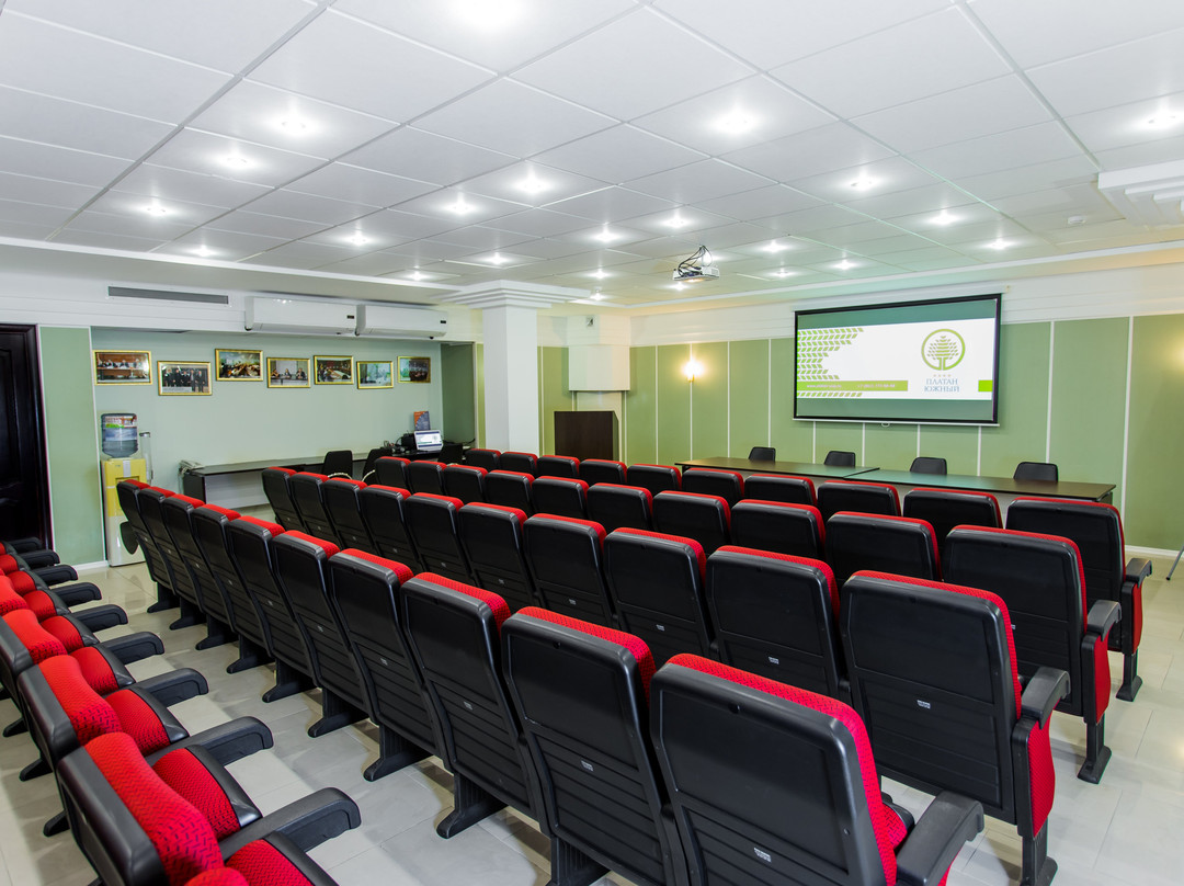 Platan Yuzhniy Hotel主图