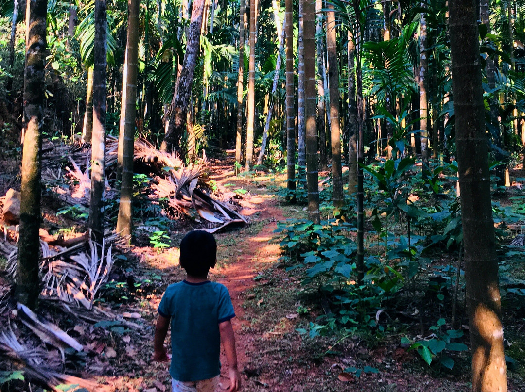 Canara Tours-Honnavar必去景点