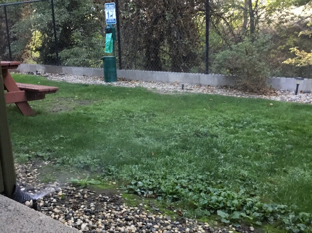 Best Western Miner'S Inn主图