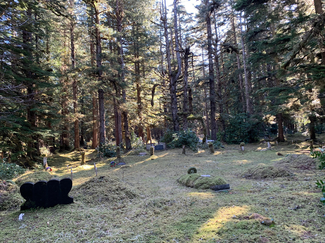 Masset Cemetery景点图片