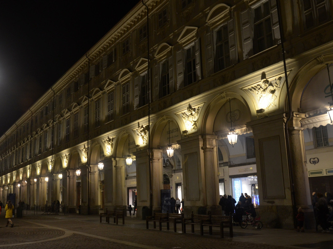 Palazzo Solaro del Borgo景点图片