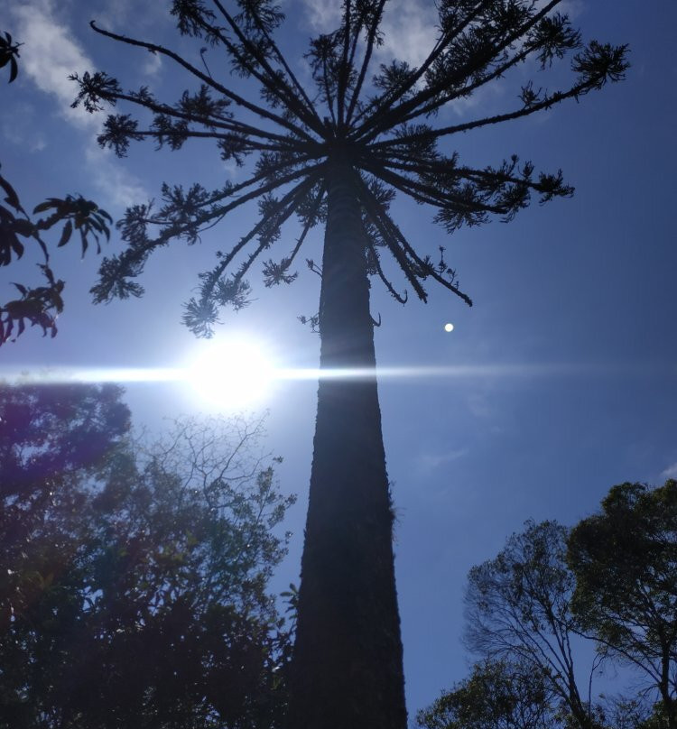 Pousada Hinckel主图