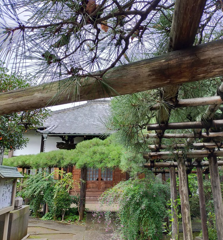 Myojo-ji Temple-Yanaka必去景点