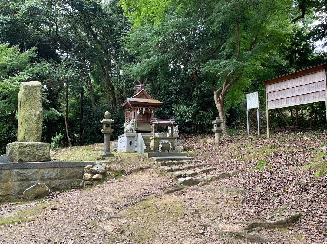 Sumo Shrine-樱井市必去景点