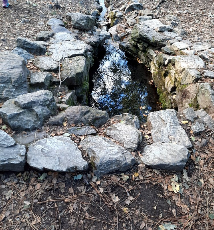 Paimpont Forest景点图片
