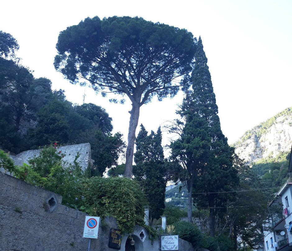 Ruga Nova Mercatorum (Via dei Mercanti)景点图片