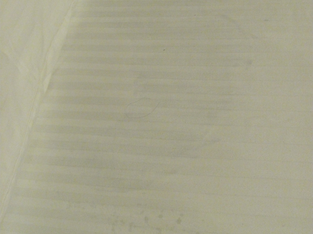 Green Gables Motel & Suites主图