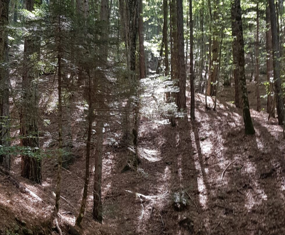 Gambarie d'Aspromonte - Day Tours-Santo Stefano in Aspromonte必去景点