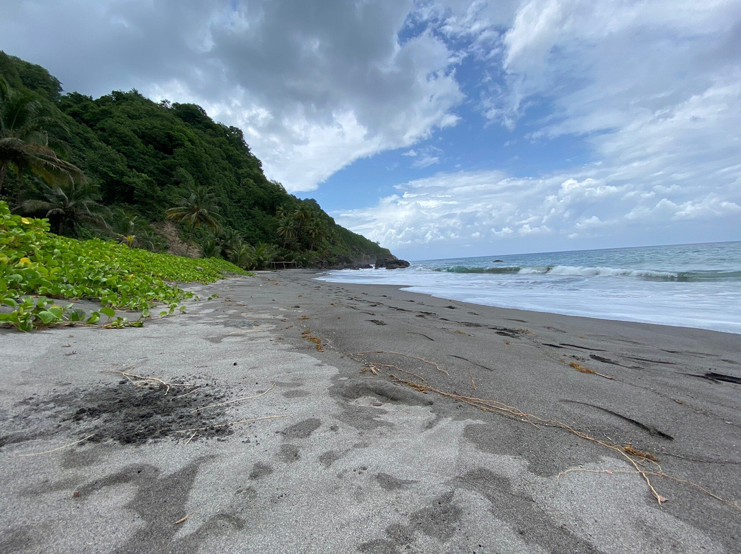 La Plage de Sinai-Grand'Riviere必去景点