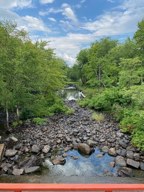 Wayne Village Dam on Mill Brook
