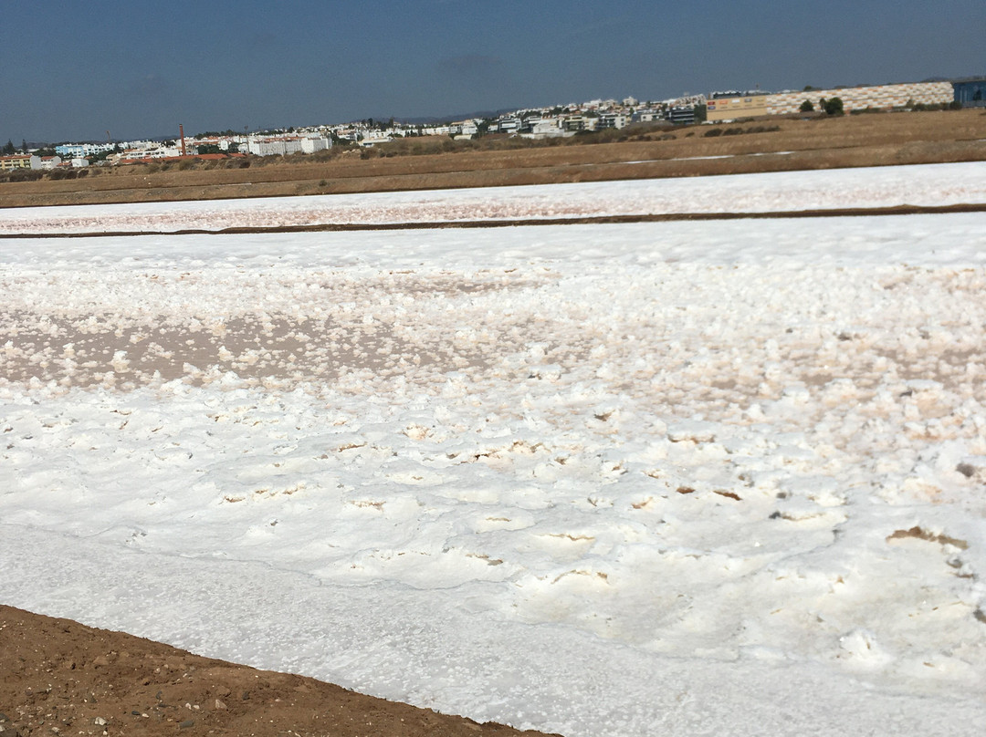 Maria's Tuk Tuk-塔维拉必去景点