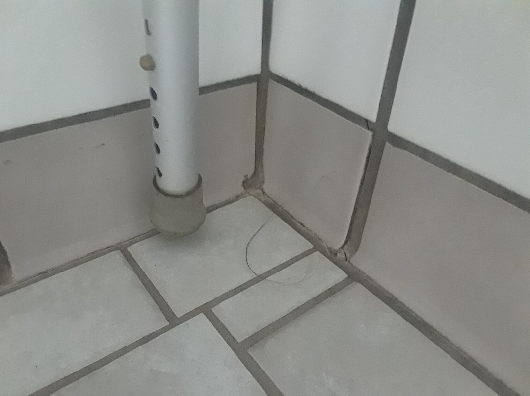 Quality Inn-Central主图