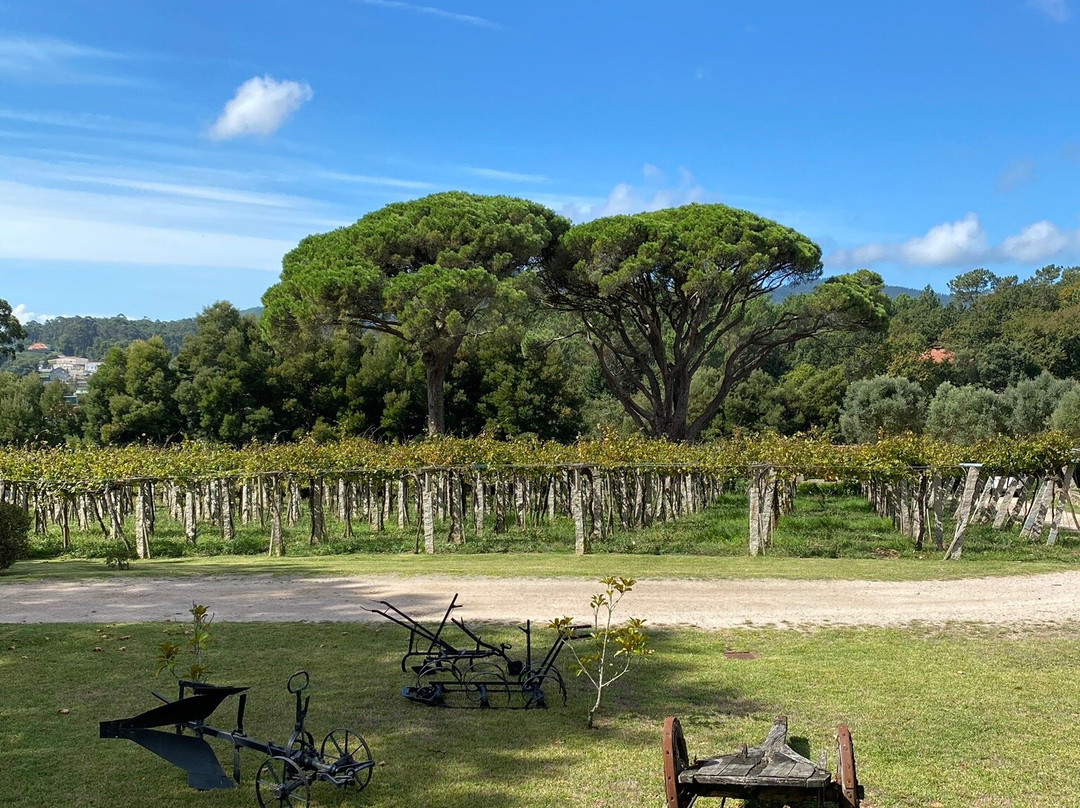 Quinta de Couselo景点图片