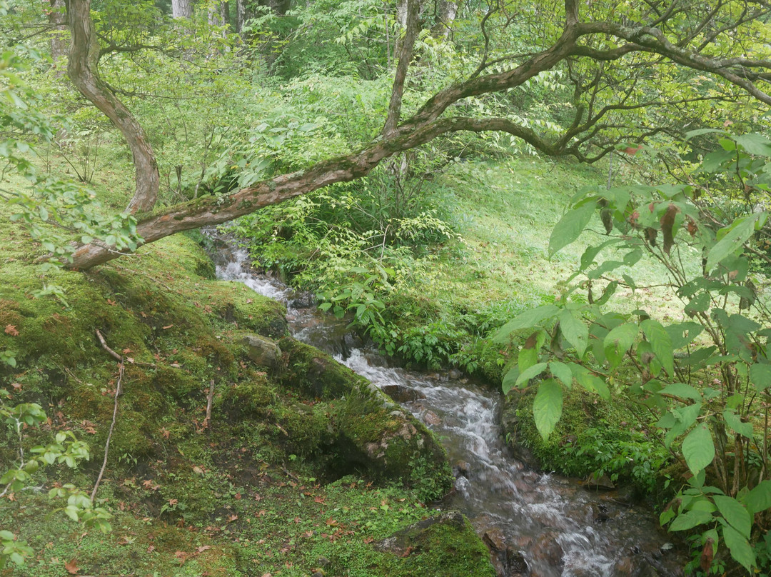 Kohoen Park-鹿沼市必去景点