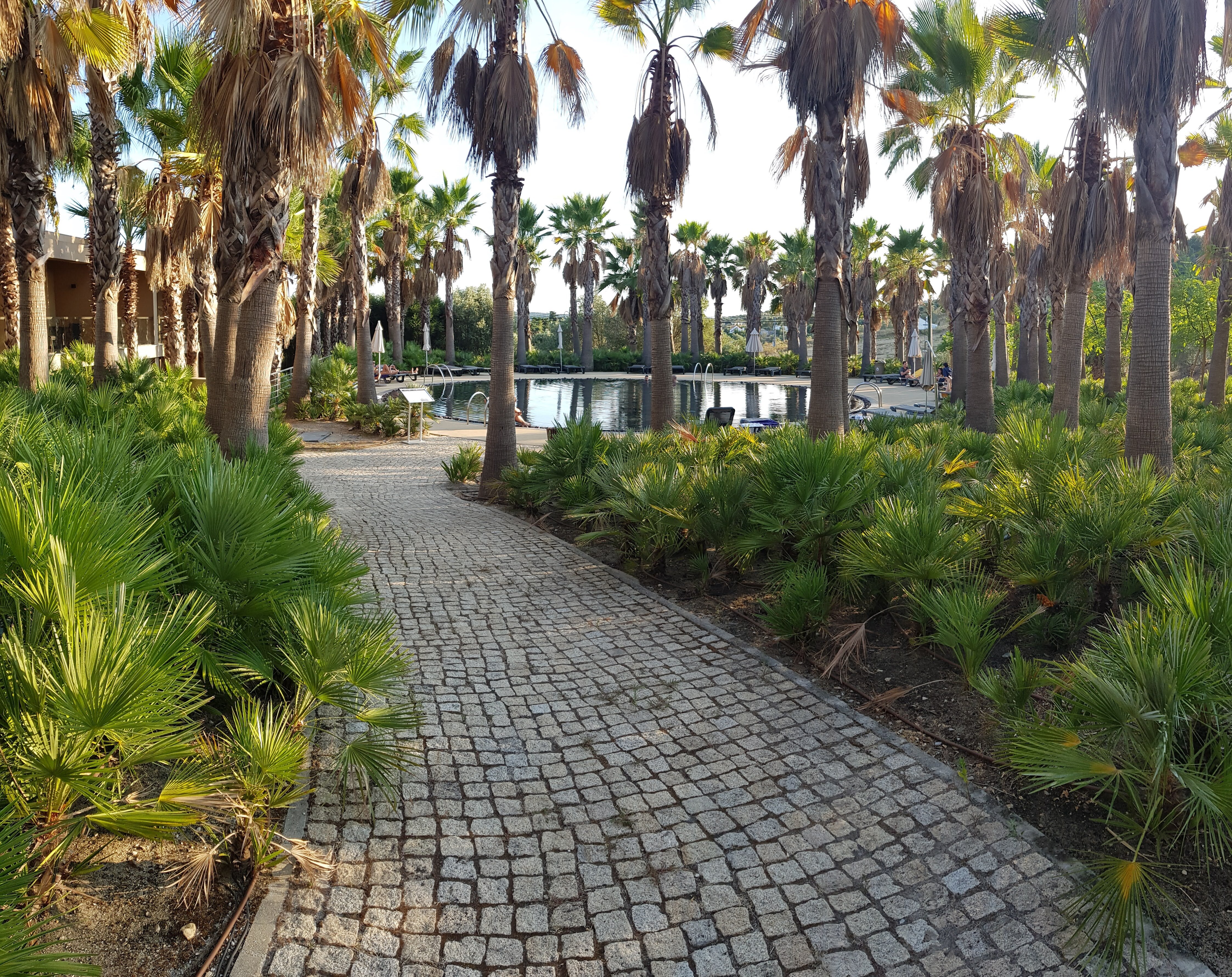 Ap Lago Montargil Conference & Spa-泳池